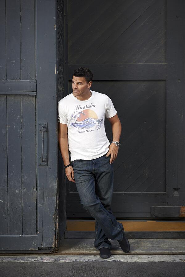 davidboreanazagenteseeleybooth