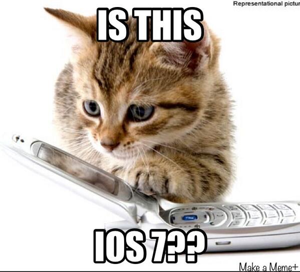 FatCats13's tweet photo. I don't think so... http://t.co/Pwsfe6XgQp