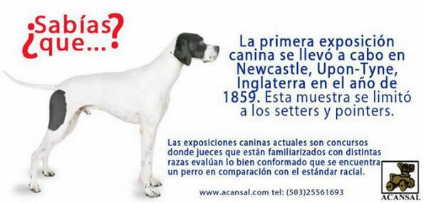 Acansal tweet picture