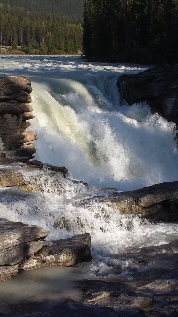 ForestDenAd's tweet photo. Had a wonderful hike on the weekend. http://t.co/oHRPc9QAxi