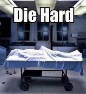 DuskIntrepidity's tweet image. 