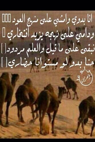 مبتعث  tweet media