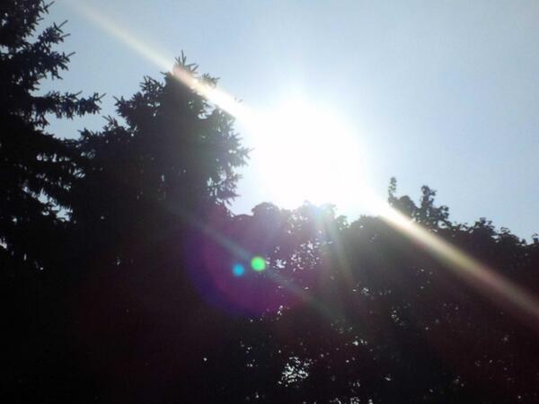 DinaPugliese's tweet photo. Here's lookin at you kid. #Glorious #Sunshine #Warmth #Fummer #Summall http://t.co/JqBDmviW1w