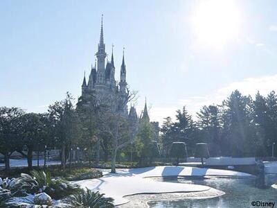 ディズニー裏情報 Disney440 Twitter