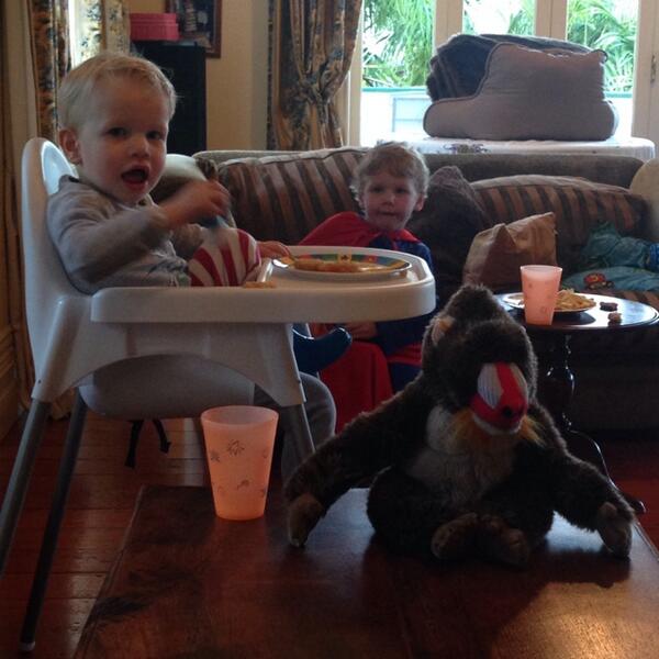 Feeding time in the zoo with the 3 monkeys! #zoo #monkeys
