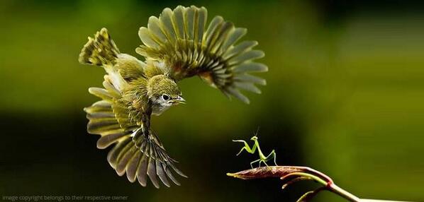 AAKASH INSTITUTE tweet media