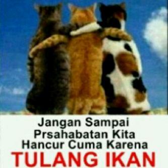 daeng_upik's tweet photo. Bagaimana dgn DAGING ikan?? http://t.co/NLjq4BOt12