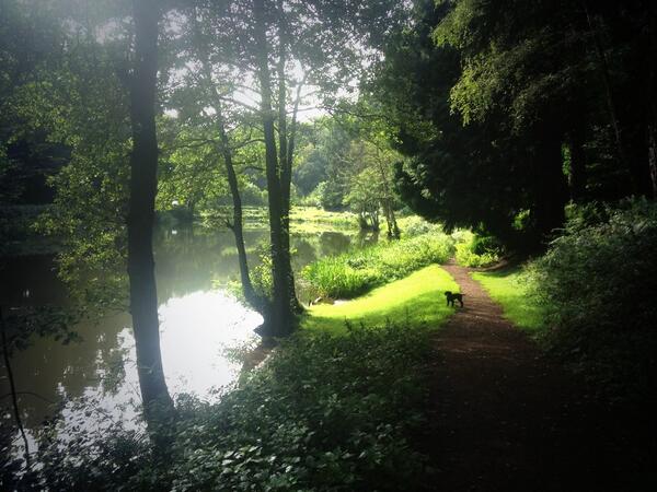 Luciddreama's tweet photo. Gardens looking nice this time of year. http://t.co/Od5hlV5Oof