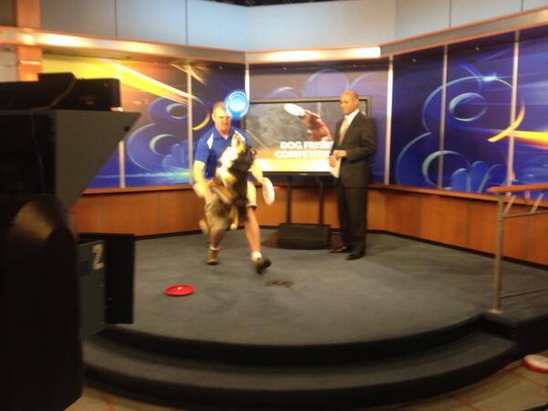 NewsNatalie's tweet image. A little behind the scenes action this morning. #ashleywhippet #wflatv