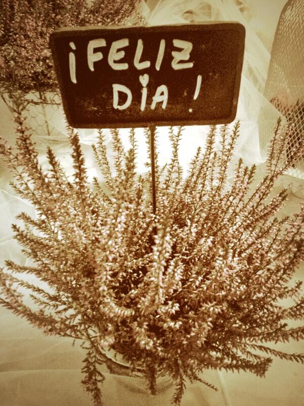 Amigos, pasen un buen dia