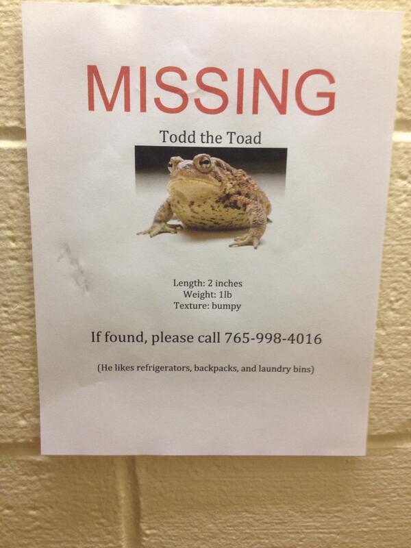 ClaireMHawk's tweet image. This is why we're not allowed to have nice things #2CO #tayloru