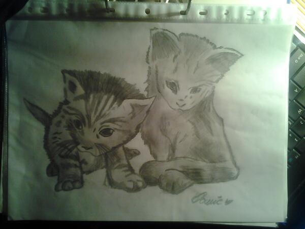 DominaMar's tweet image. Today sweet kitty ! Please follow me @DominaMar NOW ! #RT AND #FAVOURITE ★