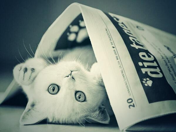 markazmubashir's tweet photo. http://t.co/nQme7pi5yc