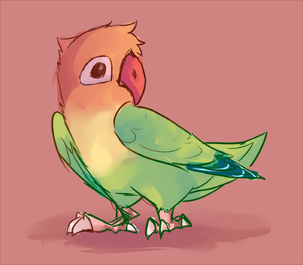 Foto Burung Lovebird Kartun