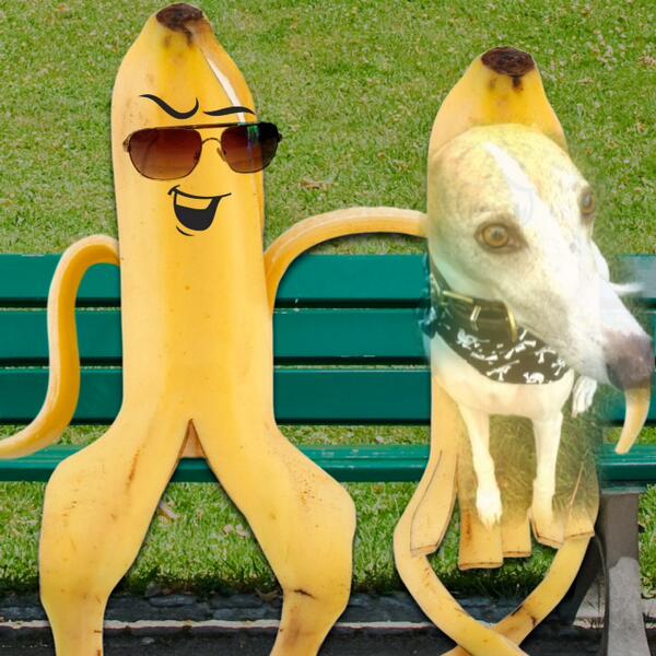 TaraLaLaKirk's tweet image. #ArcSoft Masquer# and made some friends along the way!! @MasquerApp