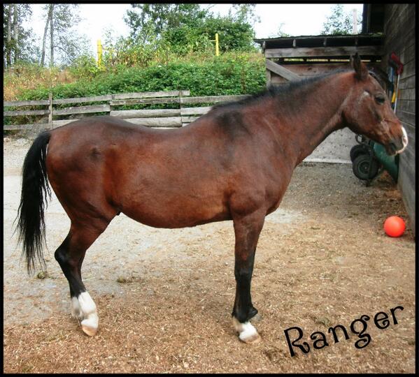 CircleFHorses's tweet image. Our 4th Annual #PokerRide/Walk is tomorrow in #Langley @HighPointBC tweetmyevents.com/event-detail/?… … … … … #FundraisingFriday