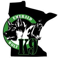 creativemanda's tweet image. Newest logo