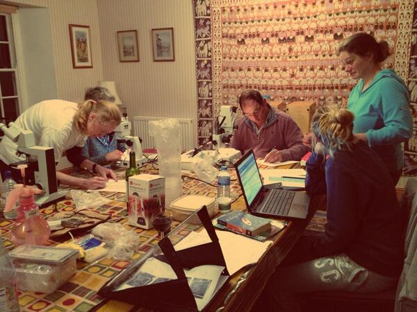 benjamin wray tweet media