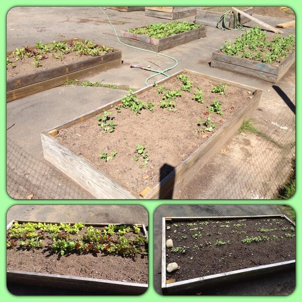 Camp_Huntington's tweet photo. Camp may be over, but the new garden is still in full swing :) #huntingtonspirit http://t.co/H6DZL6Szdl