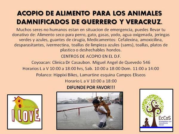 PROTECTORASBDCH's tweet photo. Ayuda a los peludos afectados por las inundaciones #Guerrero y #Veracruz. http://t.co/c7HQdMcXn8