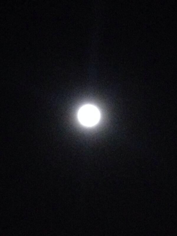 RobertDavies_97's tweet image. It&apos;s mad looking at the moon and knowing that people have stood there #onesmallstepforaman