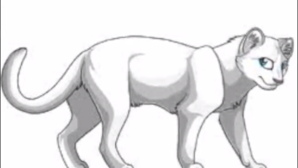 *meows in pain*