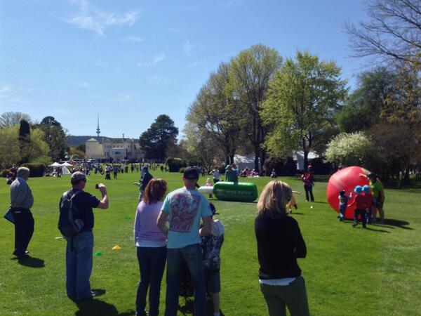 Nick Guinane On Twitter Best Backyard Cricket Pitch In Australia