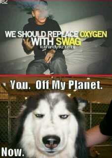 EveryAwsome's tweet image. 