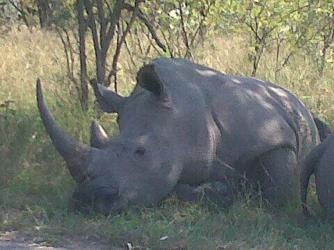 wimnaude's tweet photo. Pleas help us to life http://t.co/IDuqlHL3ub