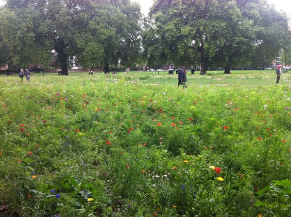 London field smells like honey! It's totally amazing.