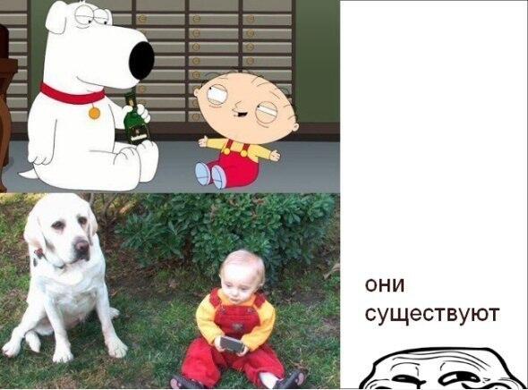 InternetMem's tweet image. 