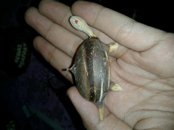 permanaglobal's tweet image. @rainclouds1905 nek iku kura2, ada pembaharuan. #CoconutShellArt