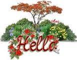 sen207 tweet picture