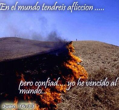 Paizvelas (💙,🧡) (@paizvelas) on Twitter photo 