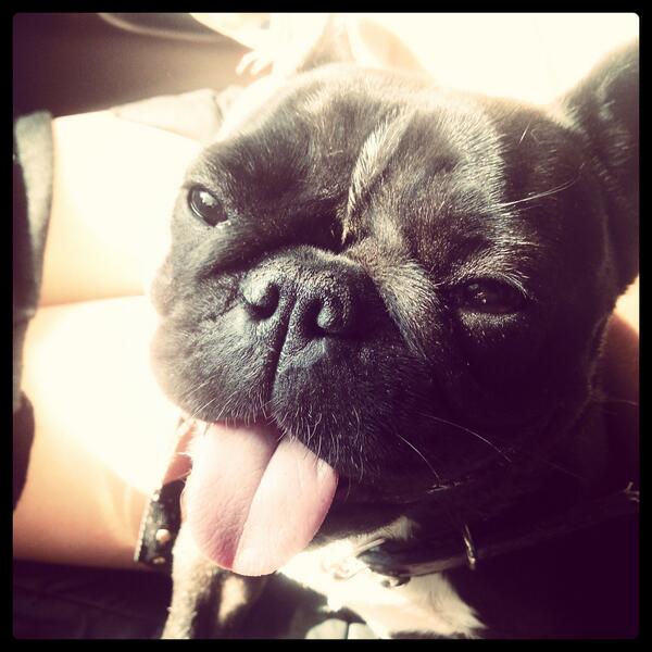 Link permanente da imagem incorporada