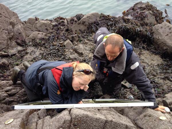 benjamin wray tweet media