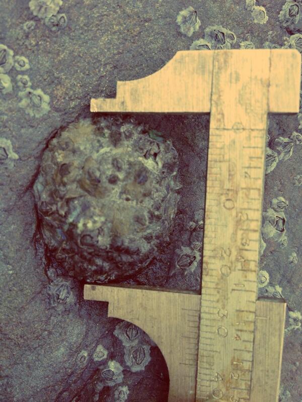 benjamin wray tweet media