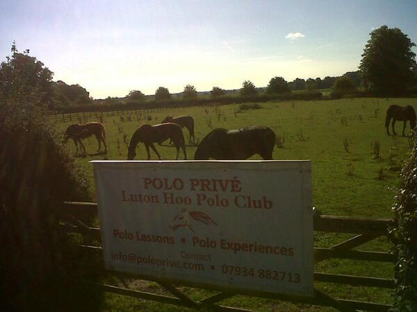 PoloPrive's tweet photo. Ponies relaxing after a good workout from chukkas and lessons! :)) http://t.co/2gN6vtfTWu