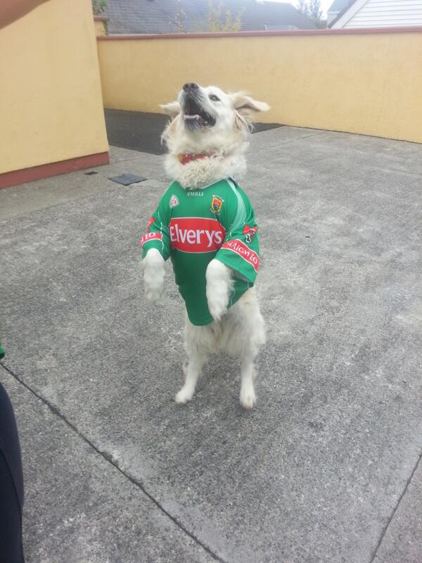 aace79's tweet image. Everyones up for the match!@#mayogaa #headin to the big smoke to bring sam home