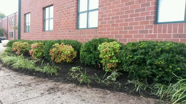 aredmo03's tweet image. #HONDay2013 @jerebaxterms  Volunteers help make a difference.