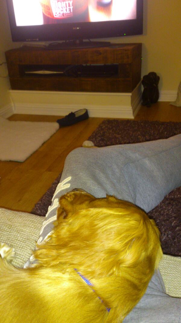 jamesball888's tweet photo. Saturday night in with my mate! http://t.co/KoNCh6u9eK