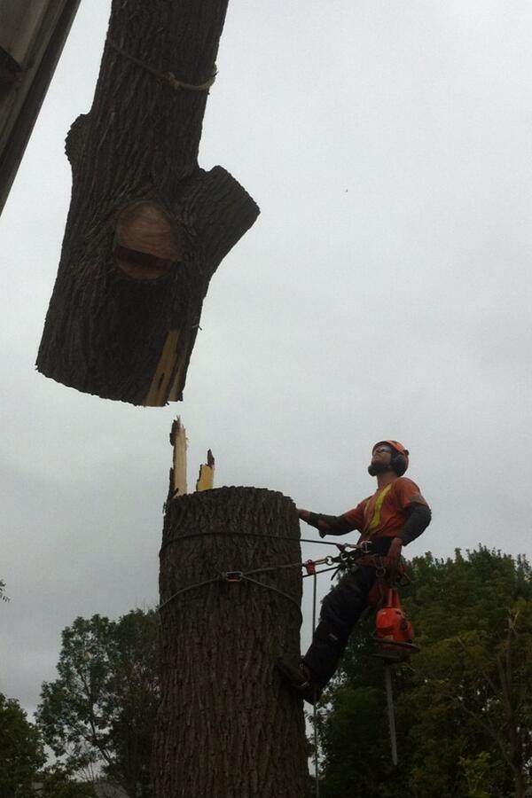 Meadsy43's tweet photo. Cranin' some big walnut http://t.co/6MAS1q7dll
