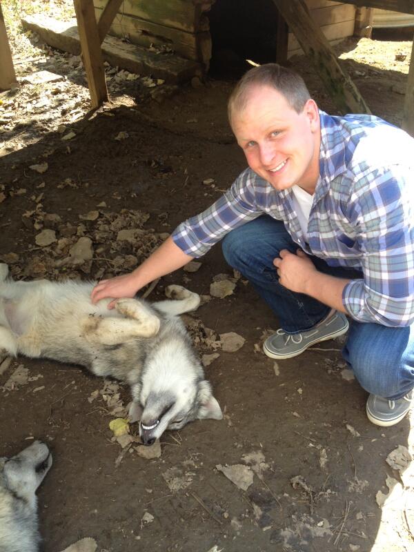 JohnGookin's tweet photo. Baby wolf belly rubs! http://t.co/ksKWznSxYi