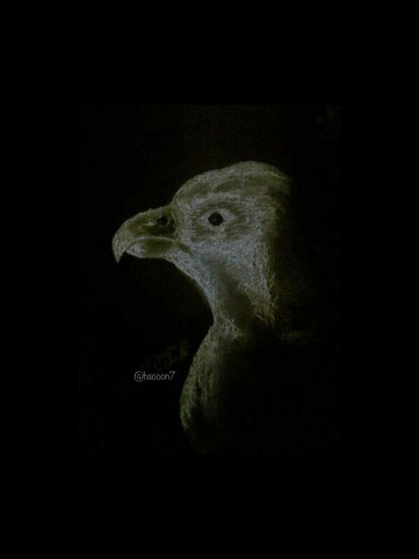 ab_s_s's tweet photo. #رسام اسكتش سريع .. زمان ي سكتش #اعمالي #كلنا_رسامين http://t.co/vNKsFblxK0