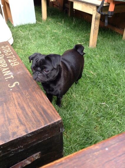 Barclay Izzard tweet media