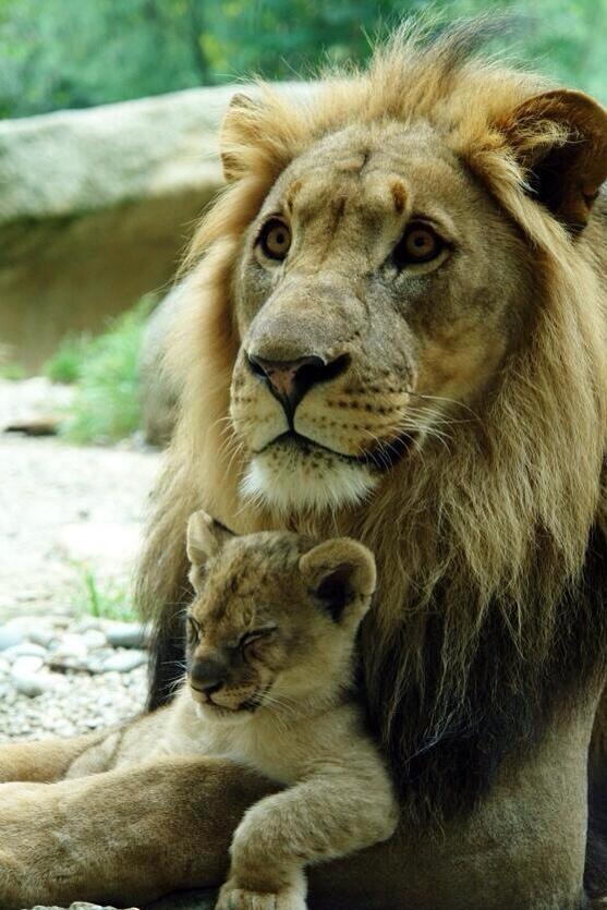 incredibleviews's tweet photo. Father and Son http://t.co/khifOMVGby