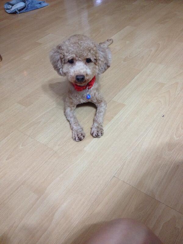 tanmeixin's tweet image. Always stay by my side when I eat #notagoodthing