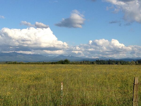 Beautiful day in Seattle!