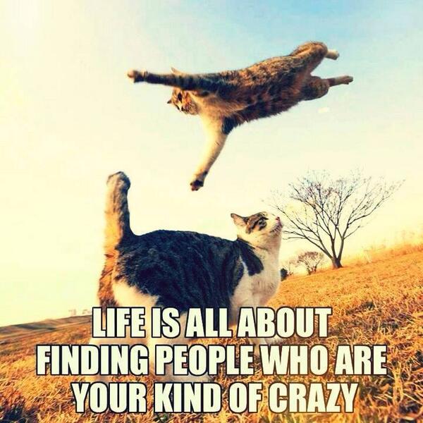 SadsMeow's tweet photo. http://t.co/twOU2y7Ko7