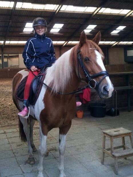 FrankvanderKruis (@frankvdkruis) on Twitter photo 